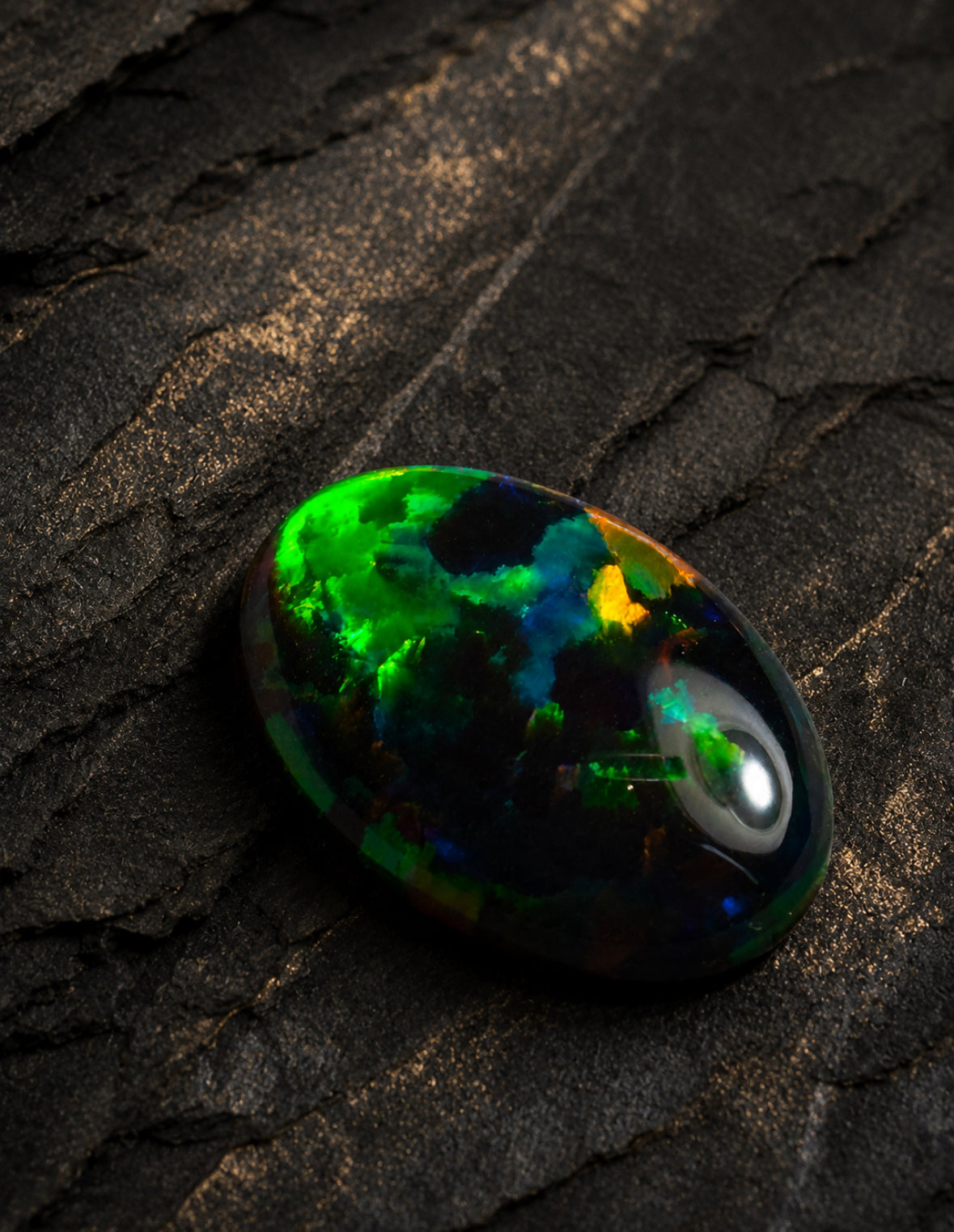 Investment Grade Lightning Ridge Black Opal – 2.75ct | Museum Quality | Full Colour Spectrum